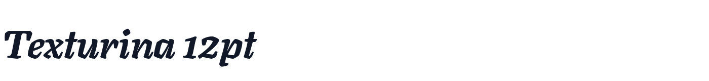 Texturina 12pt — Texturina12pt-BlackItalic.ttf