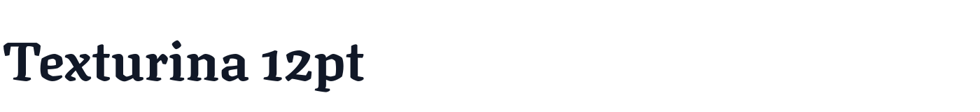 Texturina 12pt — Texturina12pt-Bold.ttf