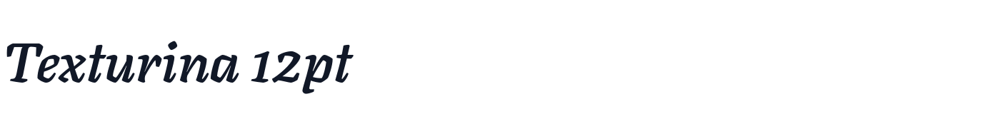 Texturina 12pt — Texturina12pt-BoldItalic.otf
