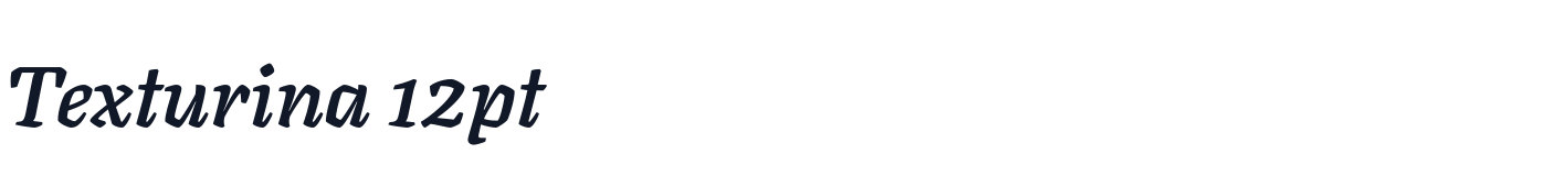 Texturina 12pt — Texturina12pt-BoldItalic.ttf