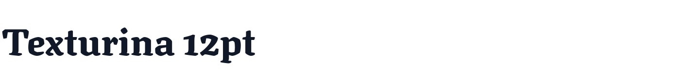 Texturina 12pt — Texturina12pt-ExtraBold.otf