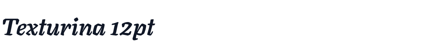 Texturina 12pt — Texturina12pt-ExtraBoldItalic.otf