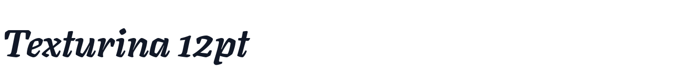 Texturina 12pt — Texturina12pt-ExtraBoldItalic.ttf