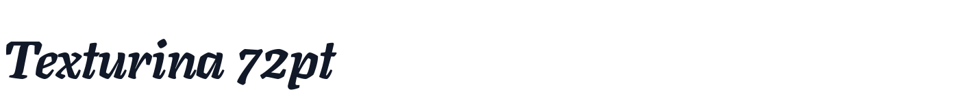 Texturina 72pt — Texturina72pt-BlackItalic.otf