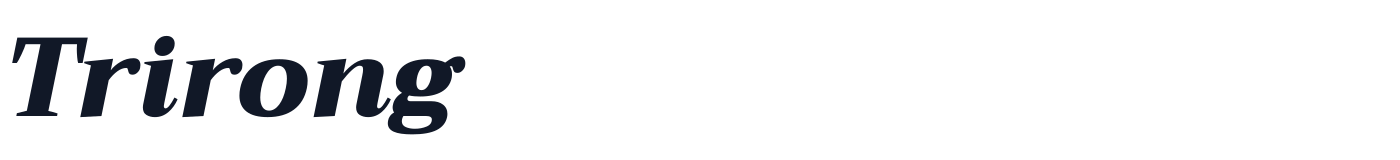 Trirong — Trirong-BlackItalic.ttf