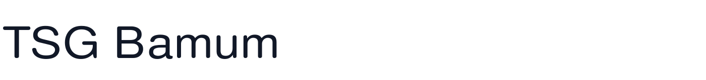 TSG Bamum — TSG-Bamum-Regular.ttf