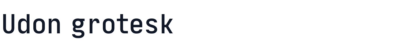Udon grotesk — UdonGrotesk-Bold.ttf