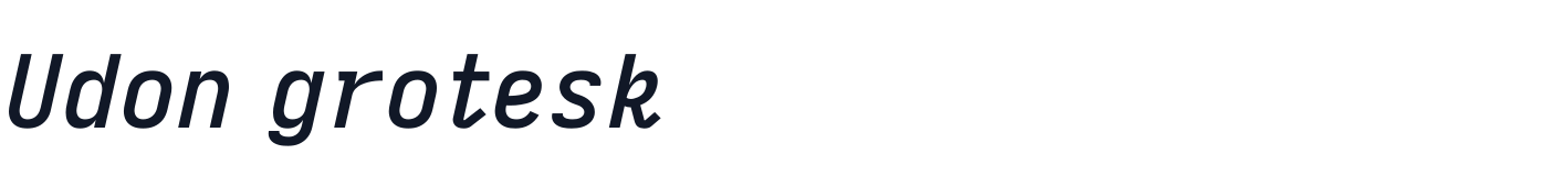 Udon grotesk — UdonGrotesk-BoldItalic.ttf