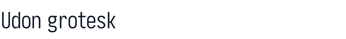Udon grotesk — UdonGrotesk-Condensed.ttf