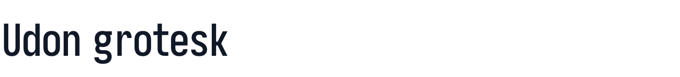 Udon grotesk — UdonGrotesk-CondensedBold.ttf