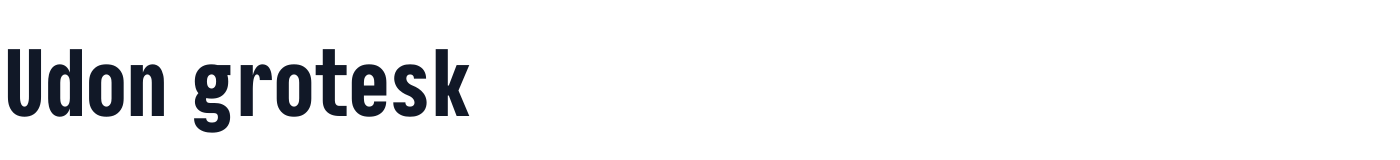 Udon grotesk — UdonGrotesk-CondensedHeavy.ttf