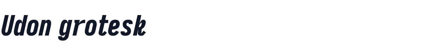 Udon grotesk — UdonGrotesk-CondensedHeavyItalic.ttf