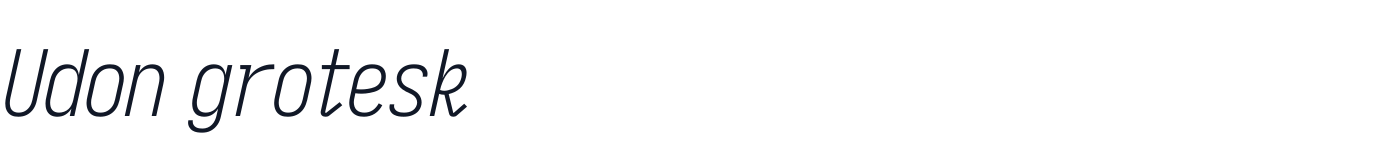 Udon grotesk — UdonGrotesk-CondensedLightItalic.ttf