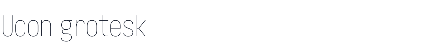Udon grotesk — UdonGrotesk-CondensedThin.ttf