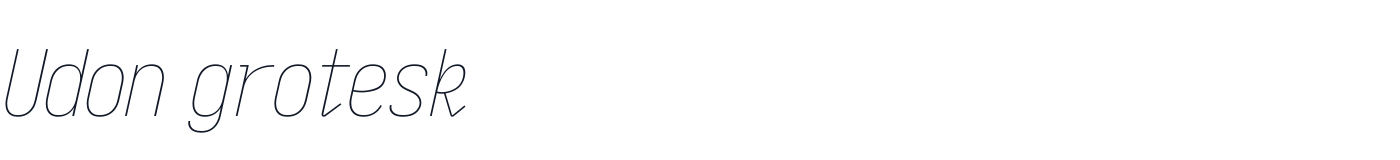 Udon grotesk — UdonGrotesk-CondensedThinItalic.ttf