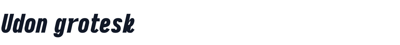 Udon grotesk — UdonGrotesk-CondensedUltraItalic.ttf