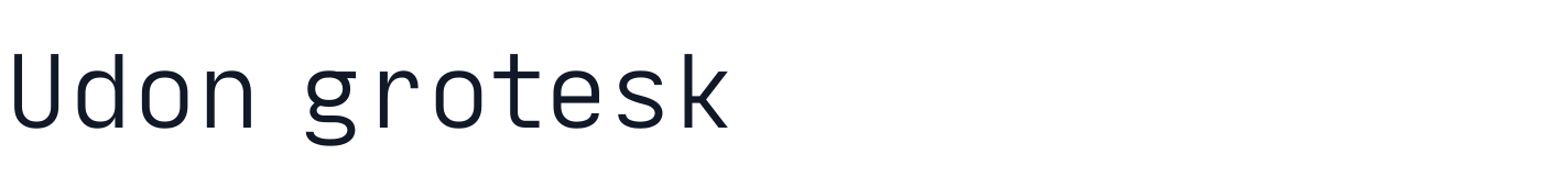 Udon grotesk — UdonGrotesk-Extended.ttf