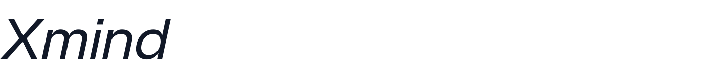 Xmind — Xmind-Italic.ttf